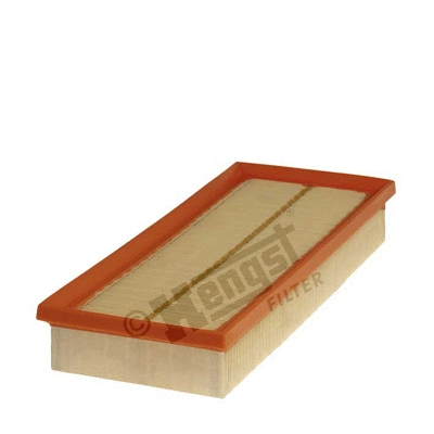 Air Filter (E455L01)