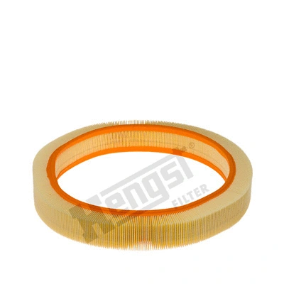 Air Filter (E172L)
