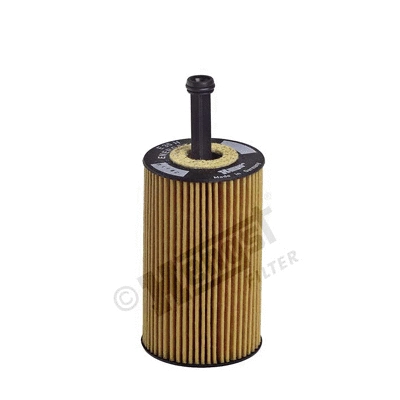 Oil Filter (E35H D102)