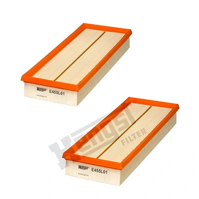 Air Filter (E455L01-2)