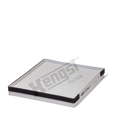 Filter, cabin air (E5946LI)