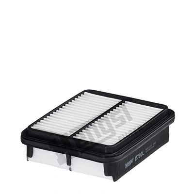Air Filter (E790L)