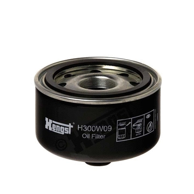 Oil Filter (H300W09)