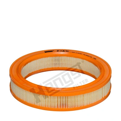 Air Filter (E187L)