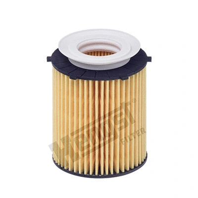 Oil Filter (E818H D238)