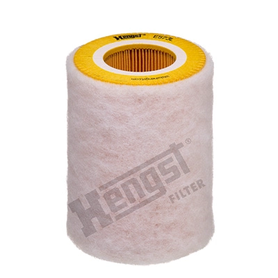 Air Filter (E573L)