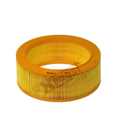Air Filter (E791L)