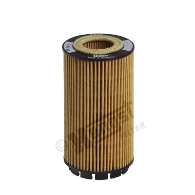 Oil Filter (E810H)