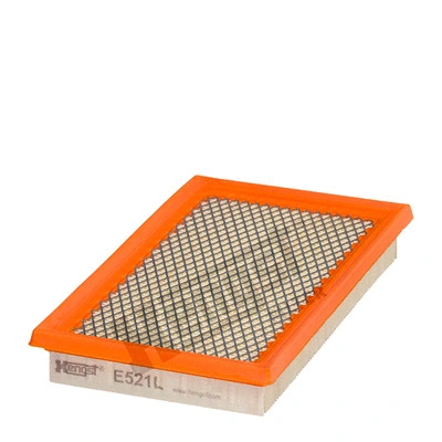 Air Filter (E521L)