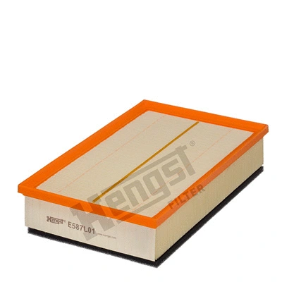 Air Filter (E587L01)
