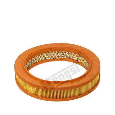 Air Filter (E797L)