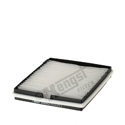 Filter, cabin air (E2928LI)