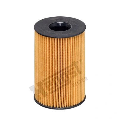Oil Filter (E359H D306)