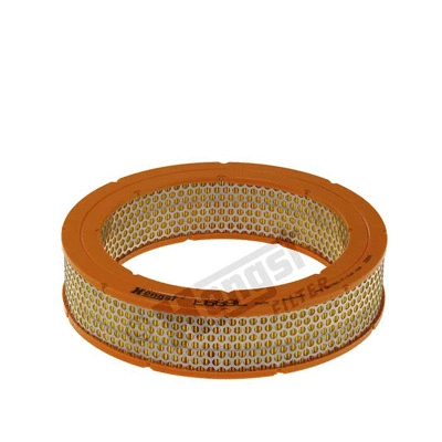 Air Filter (E669L)