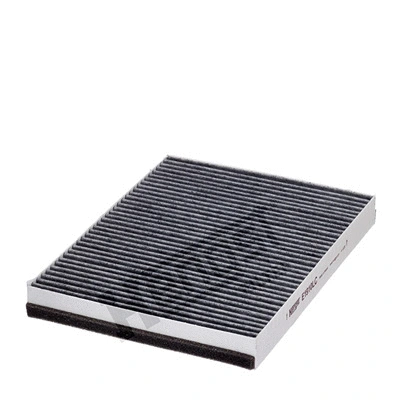 Filter, cabin air (E1910LC)