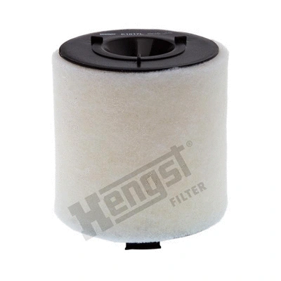 Air Filter (E1017L)