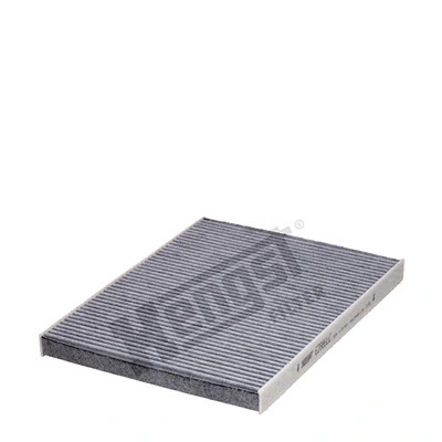 Filter, cabin air (E3986LC)