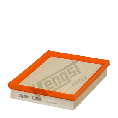 Air Filter (E250L)