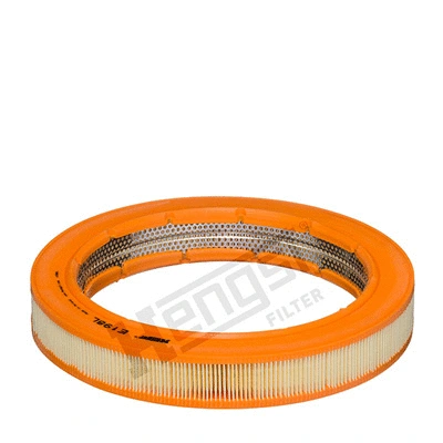 Air Filter (E198L)