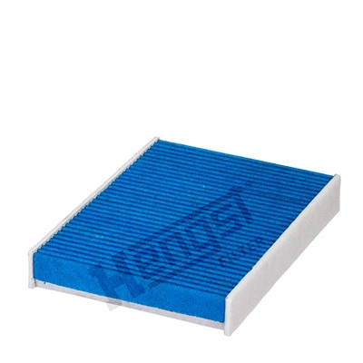 Filter, cabin air (E3952LB)