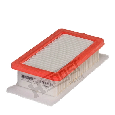 Air Filter (E2151L)
