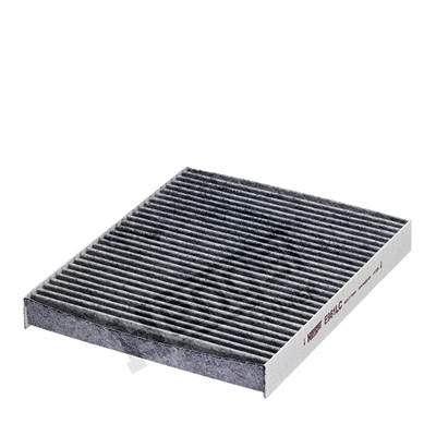 Filter, cabin air (E961LC)