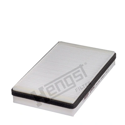 Filter, cabin air (E969LI)