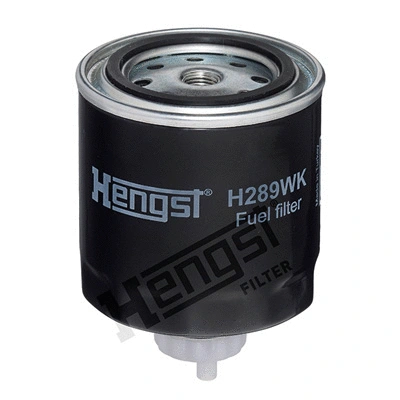 Fuel Filter (H289WK)