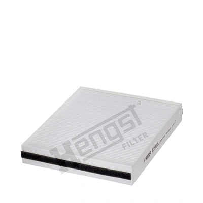 Filter, cabin air (E2962LI)