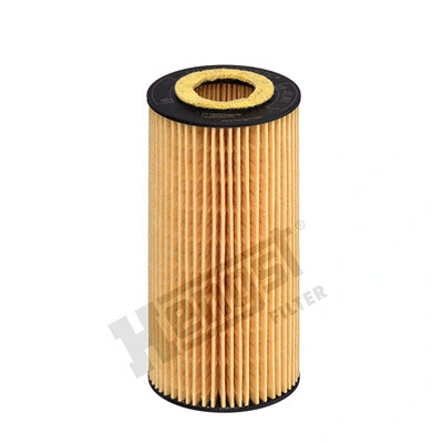 Oil Filter (E17H01 D50)