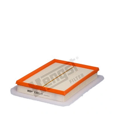 Air Filter (E391L01)