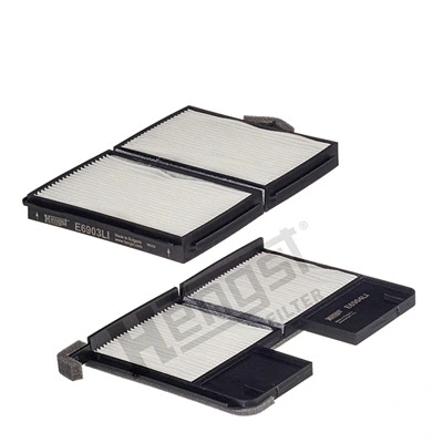 Filter, cabin air (E2934LI-2)