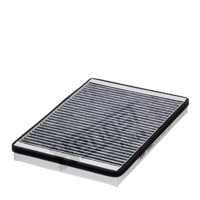 Filter, cabin air (E955LC)