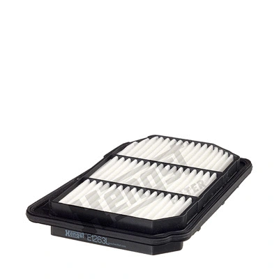 Air Filter (E1263L)