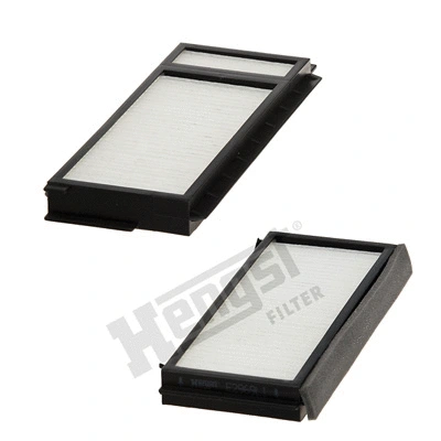 Filter, cabin air (E2970LI-2)