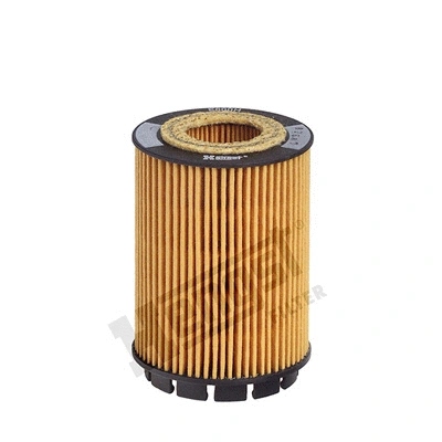 Oil Filter (E800H)