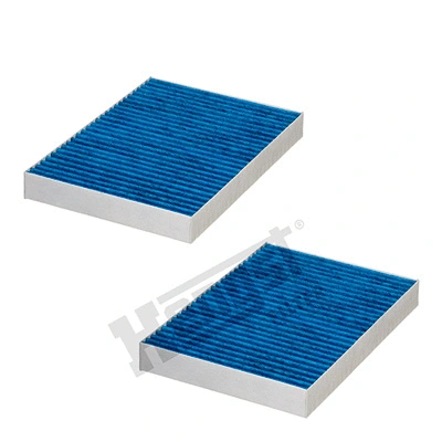 Filter, cabin air (E2919LB-2)