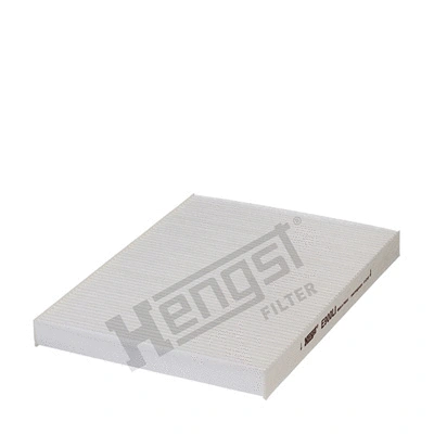 Filter, cabin air (E900LI)