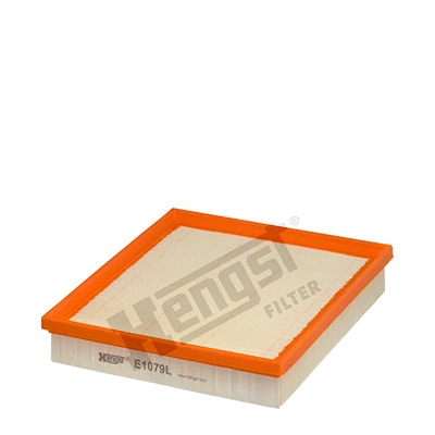 Air Filter (E1079L)