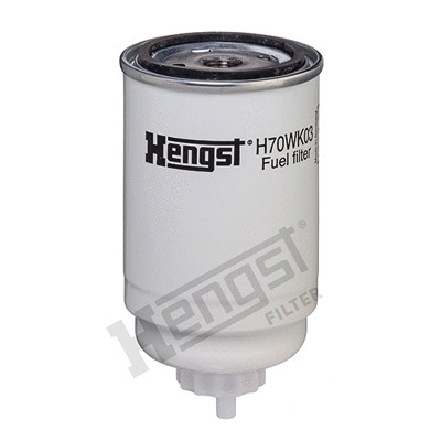 Fuel Filter (H70WK03)