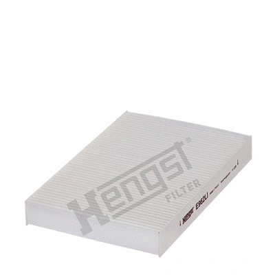 Filter, cabin air (E962LI)