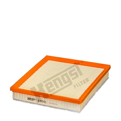 Air Filter (E600L)