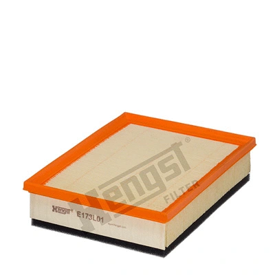 Air Filter (E173L01)