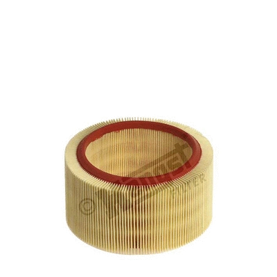 Air Filter (E331L)