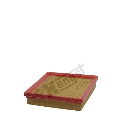 Air Filter (E262L)