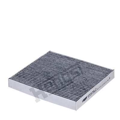 Filter, cabin air (E5975LC)