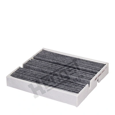 Filter, cabin air (E5965LC)
