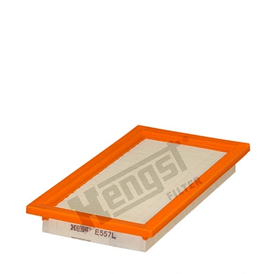 Air Filter (E557L)