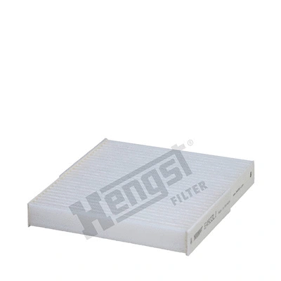 Filter, cabin air (E4933LI)