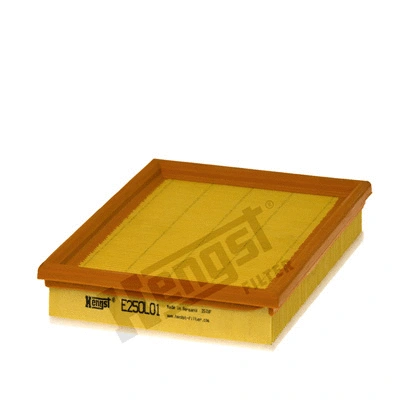 Air Filter (E250L01)